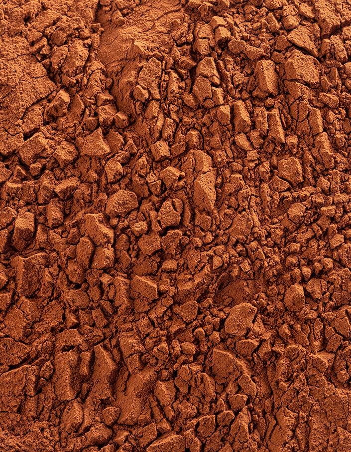 Какао порошок Plein Arome Cacao Barry (0,2 кг)